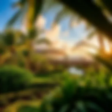 The Natural Beauty of Maui A serene landscape of Maui's natural beauty